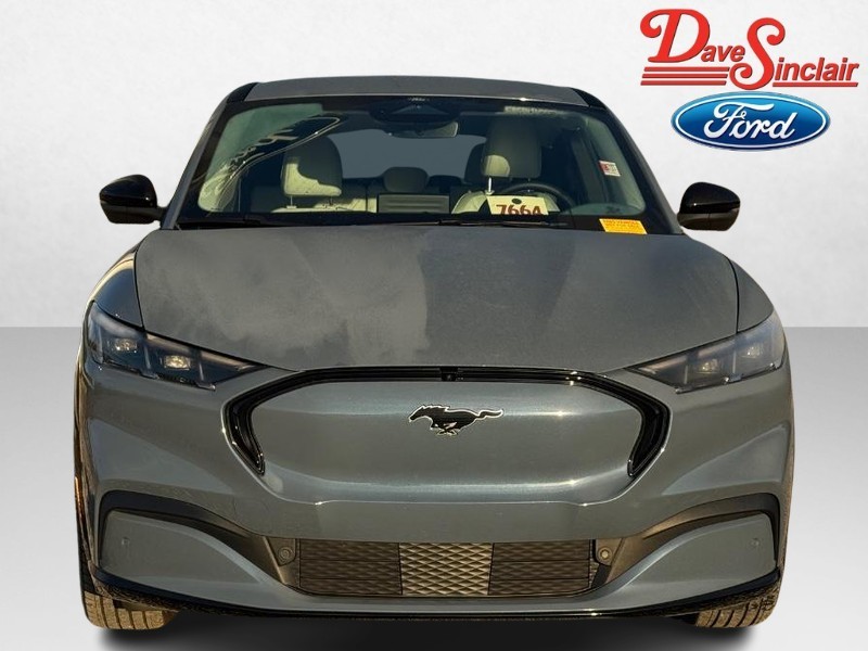 Ford Mustang Mach-E Vehicle Image 02