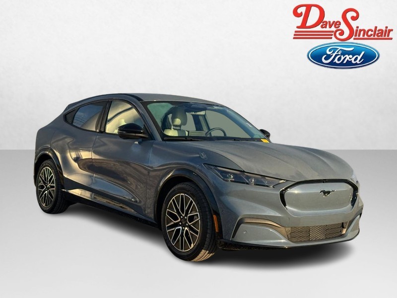 Ford Mustang Mach-E Vehicle Image 04