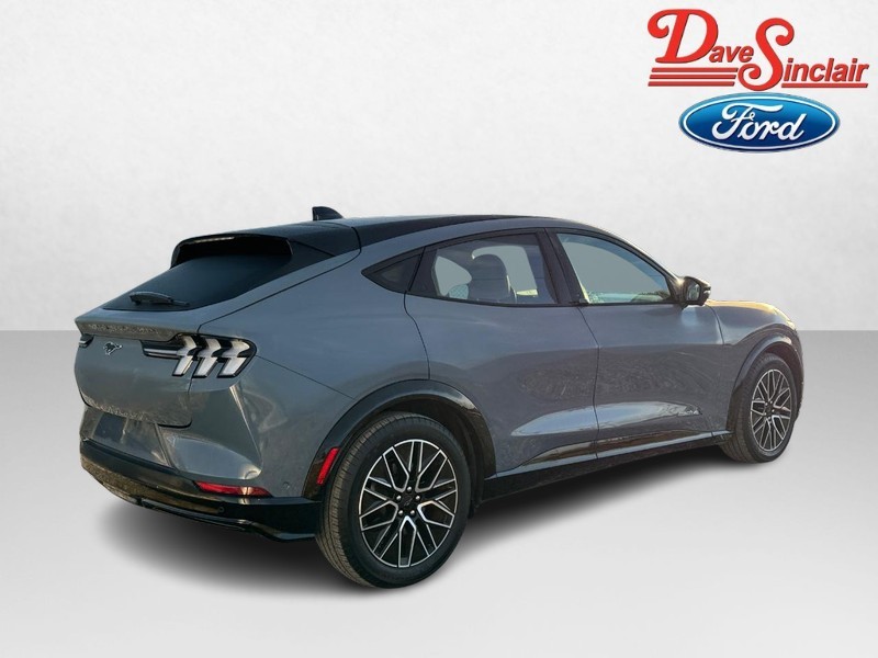 Ford Mustang Mach-E Vehicle Image 07