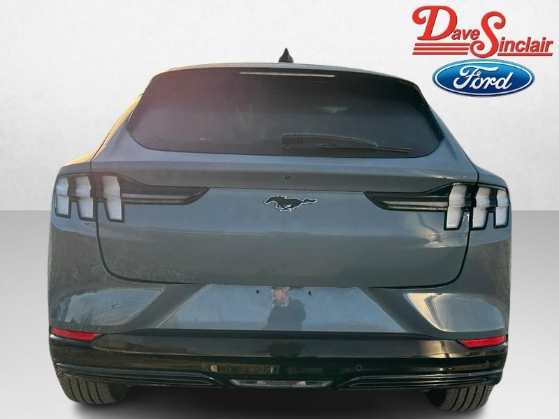 Ford Mustang Mach-E Vehicle Image 08