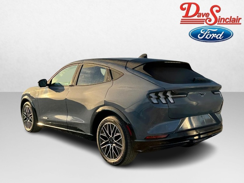 Ford Mustang Mach-E Vehicle Image 09