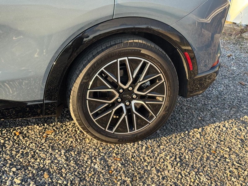 Ford Mustang Mach-E Vehicle Image 11