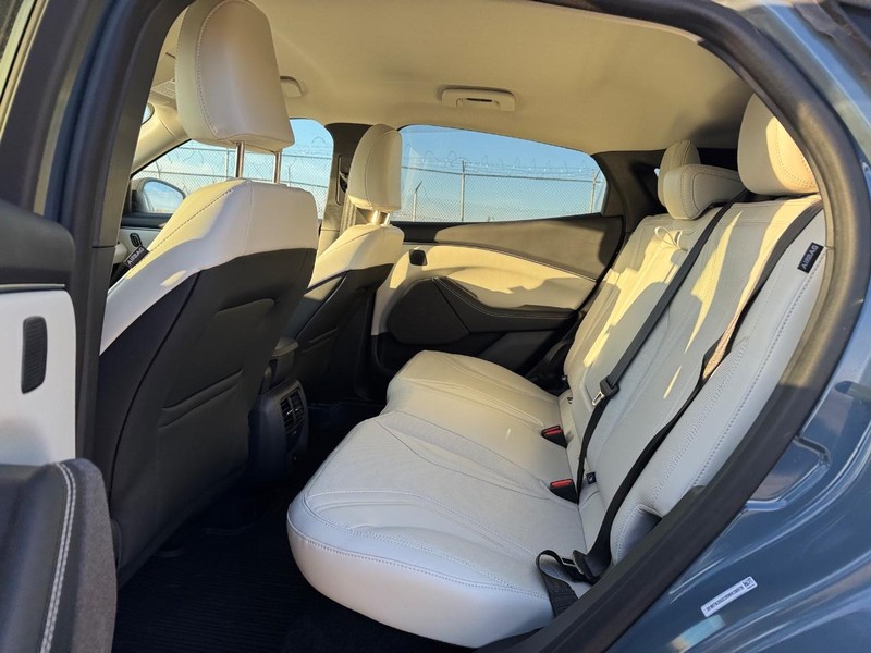 Ford Mustang Mach-E Vehicle Image 12