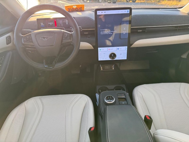 Ford Mustang Mach-E Vehicle Image 14