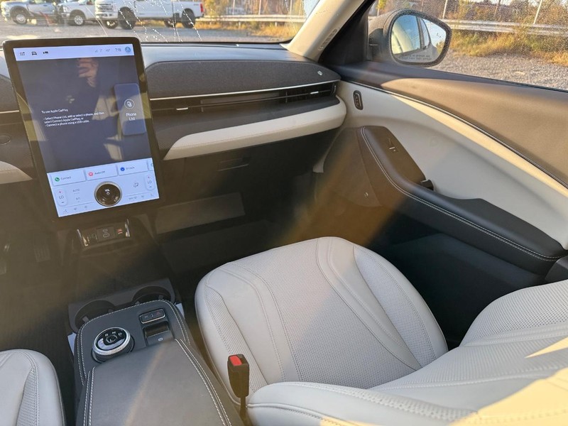 Ford Mustang Mach-E Vehicle Image 15