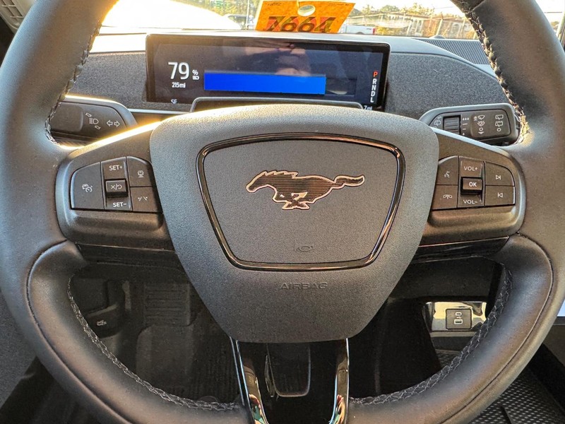 Ford Mustang Mach-E Vehicle Image 19