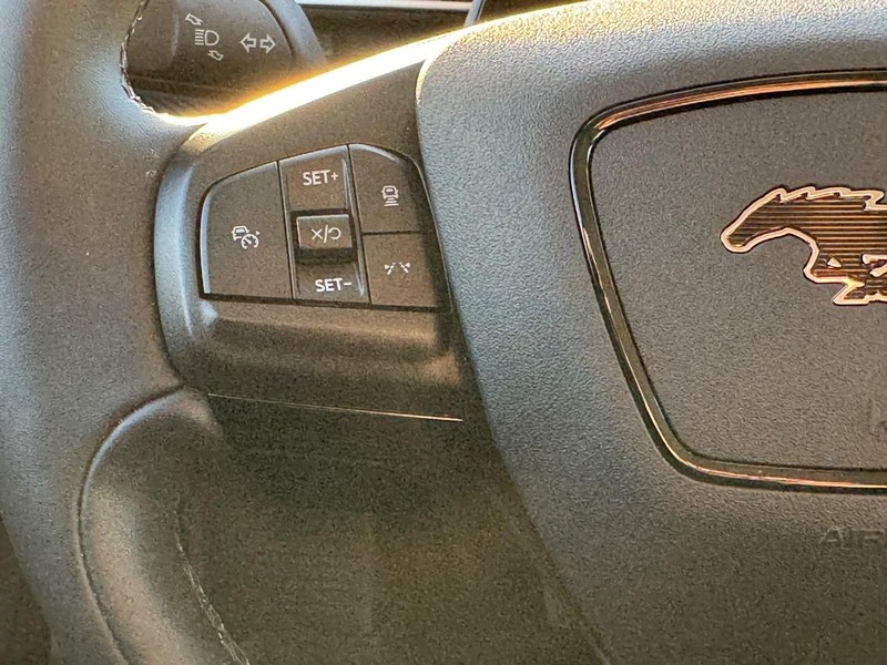 Ford Mustang Mach-E Vehicle Image 20