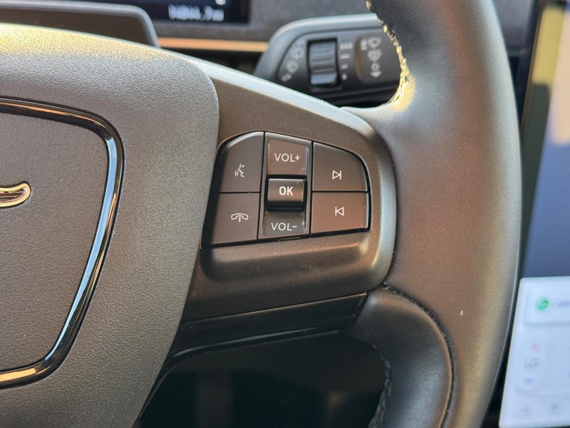 Ford Mustang Mach-E Vehicle Image 21