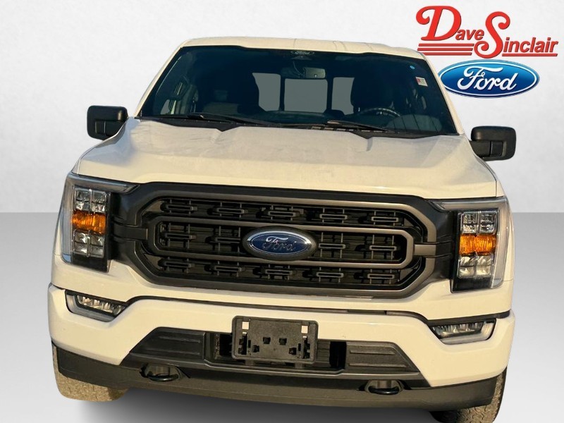 Ford F-150 Vehicle Image 02