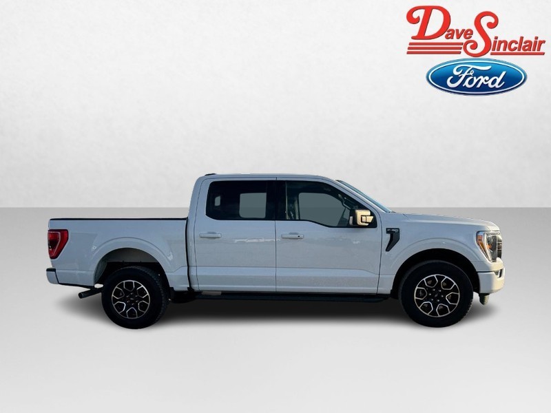 Ford F-150 Vehicle Image 05