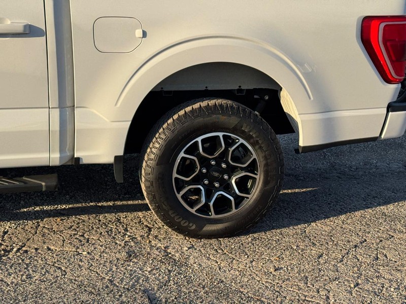 Ford F-150 Vehicle Image 11