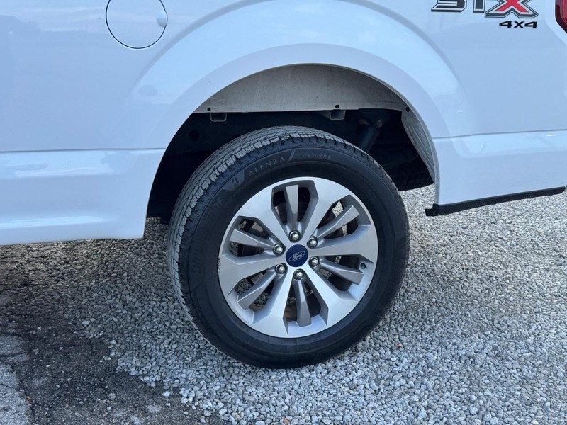 Ford F-150 Vehicle Image 11