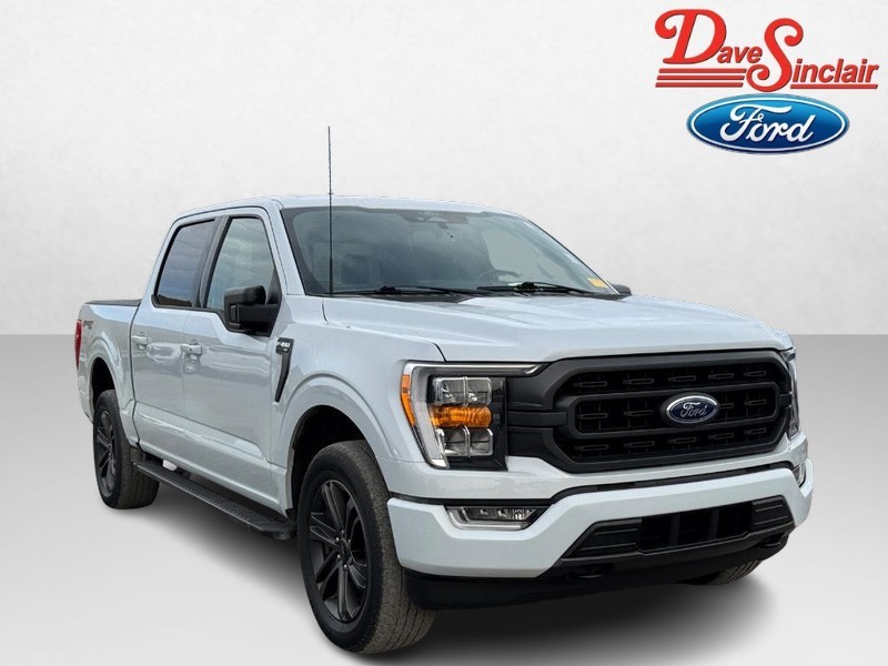 Ford F-150 Vehicle Image 04