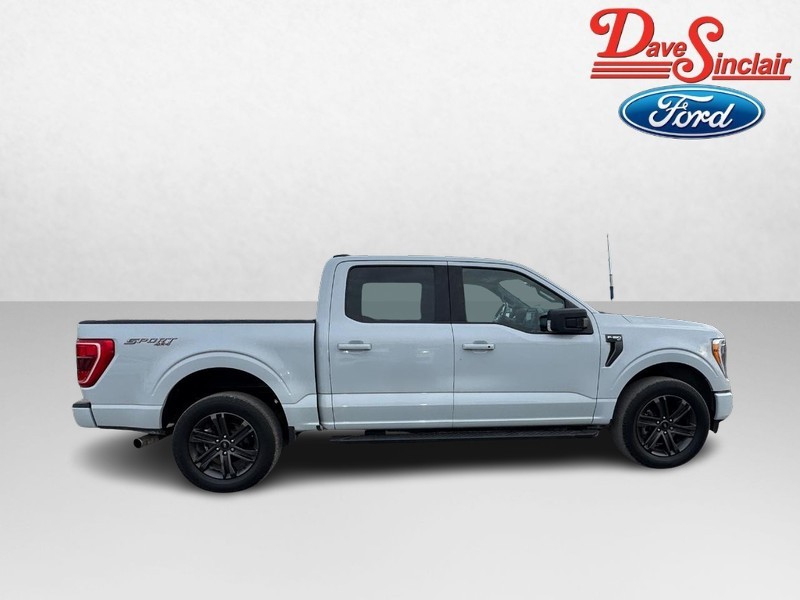 Ford F-150 Vehicle Image 05