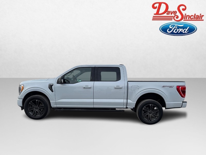 Ford F-150 Vehicle Image 10