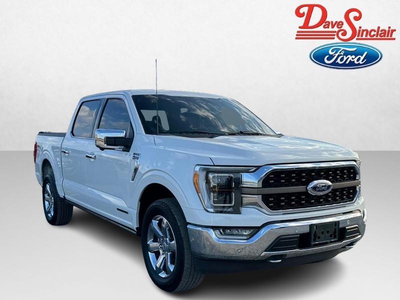 Ford F-150 Vehicle Image 04
