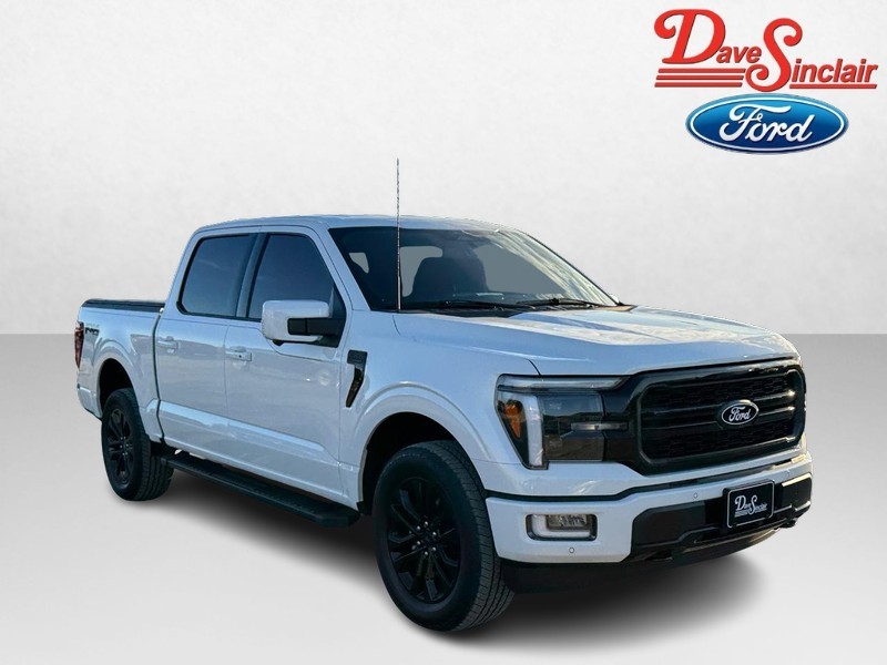 Ford F-150 Vehicle Image 04