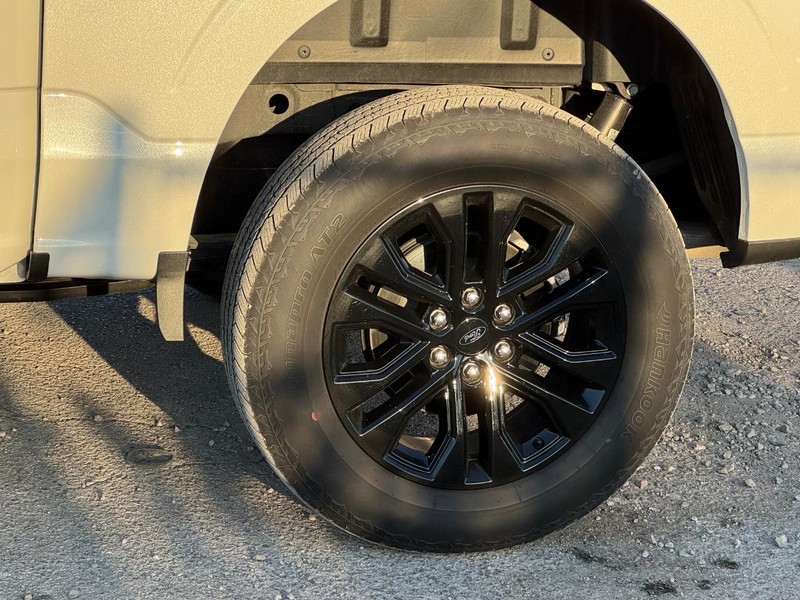 Ford F-150 Vehicle Image 11