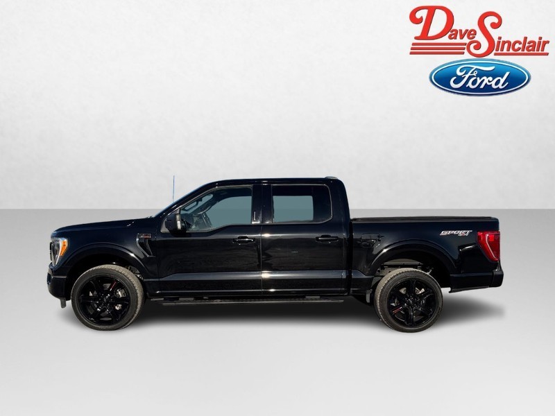 Ford F-150 Vehicle Full-screen Gallery Image 10