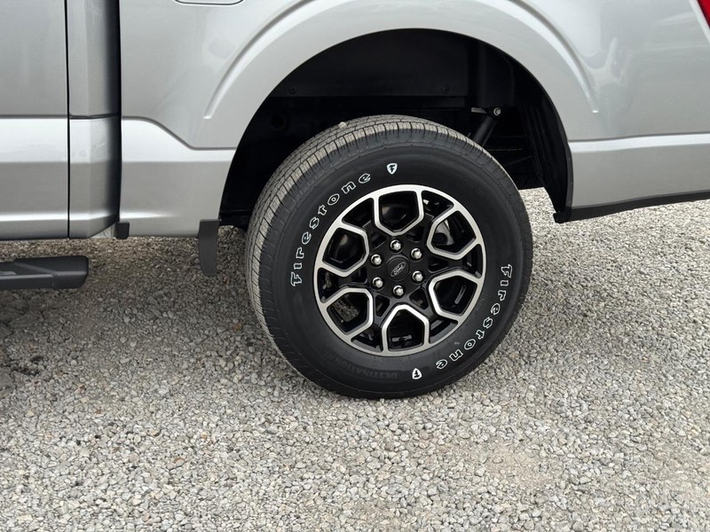 Ford F-150 Vehicle Image 11