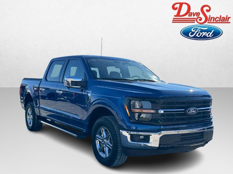 Ford F-150 Vehicle Image 04