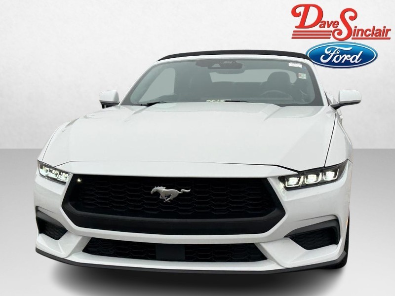 Ford Mustang Vehicle Image 02