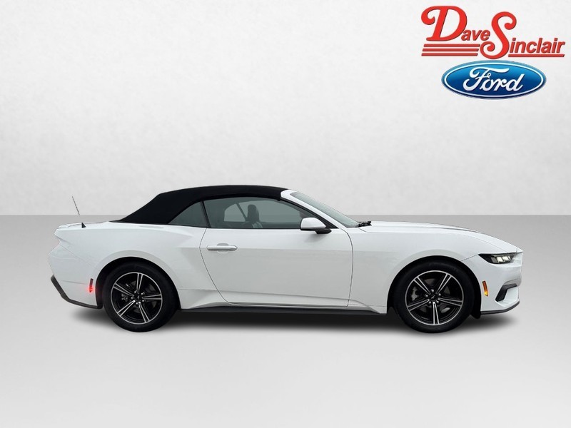 Ford Mustang Vehicle Image 05