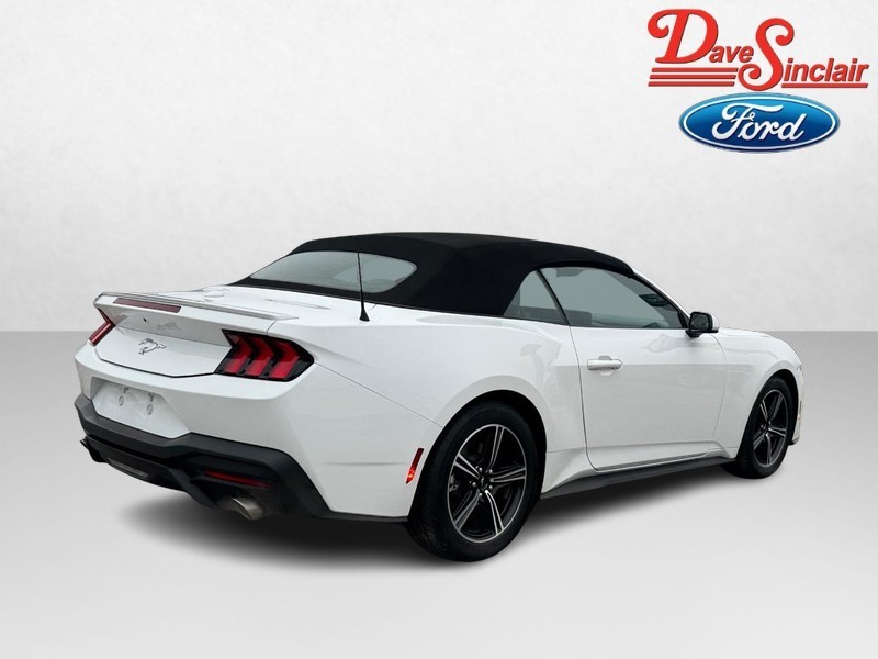 Ford Mustang Vehicle Image 07