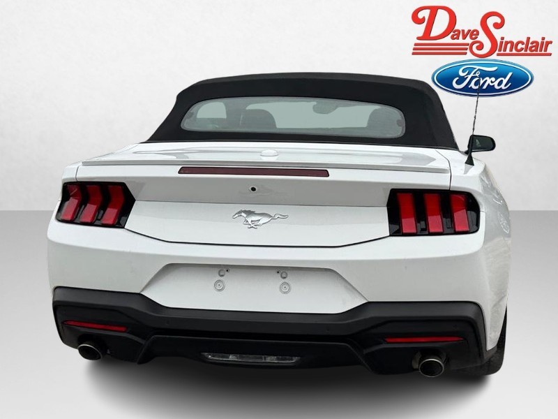 Ford Mustang Vehicle Image 08