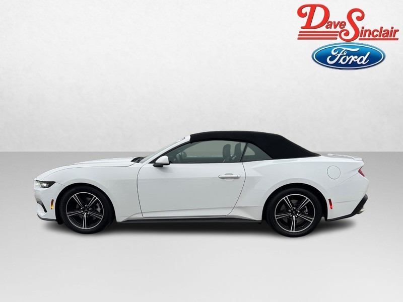 Ford Mustang Vehicle Image 10