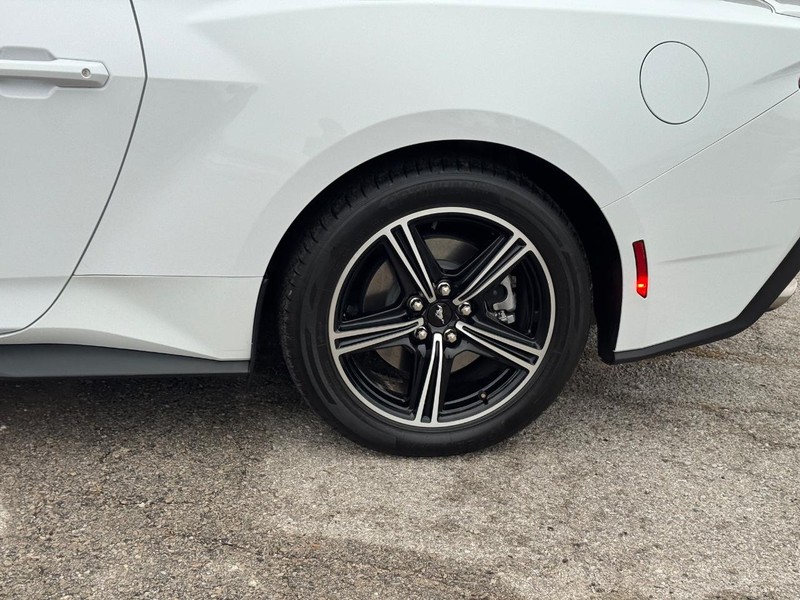 Ford Mustang Vehicle Image 11