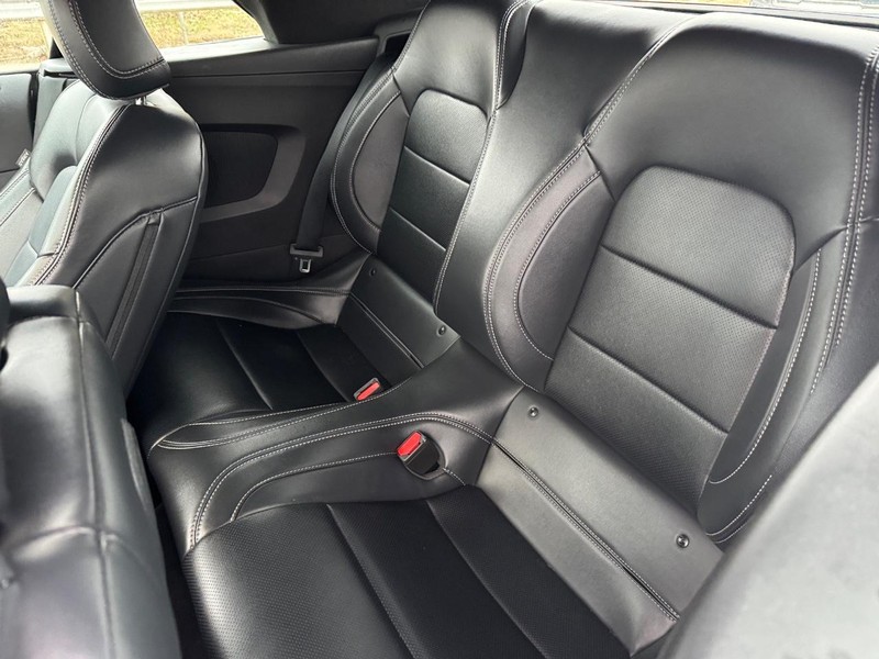 Ford Mustang Vehicle Image 12