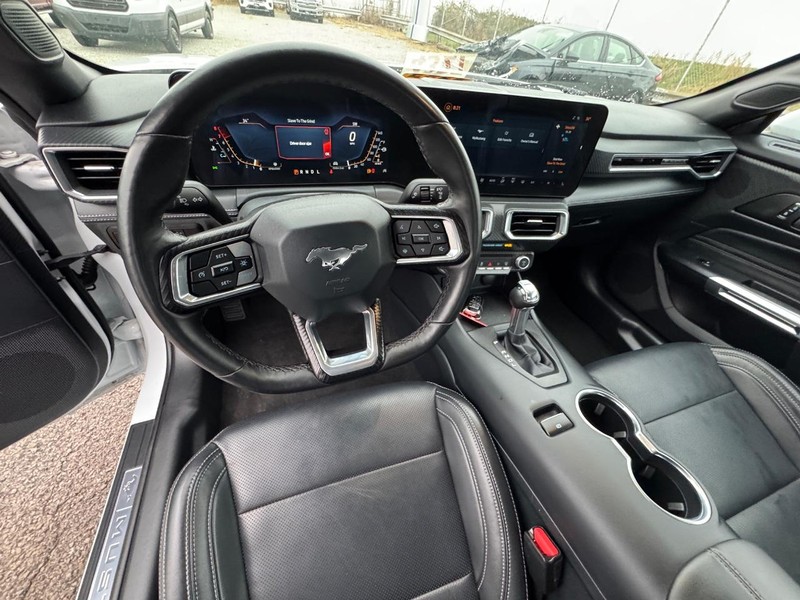 Ford Mustang Vehicle Image 14