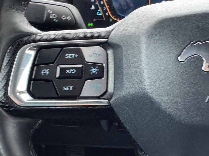 Ford Mustang Vehicle Image 19