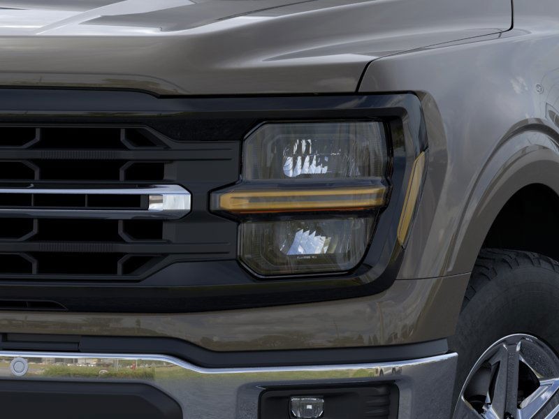 Ford F-150 Vehicle Image 20