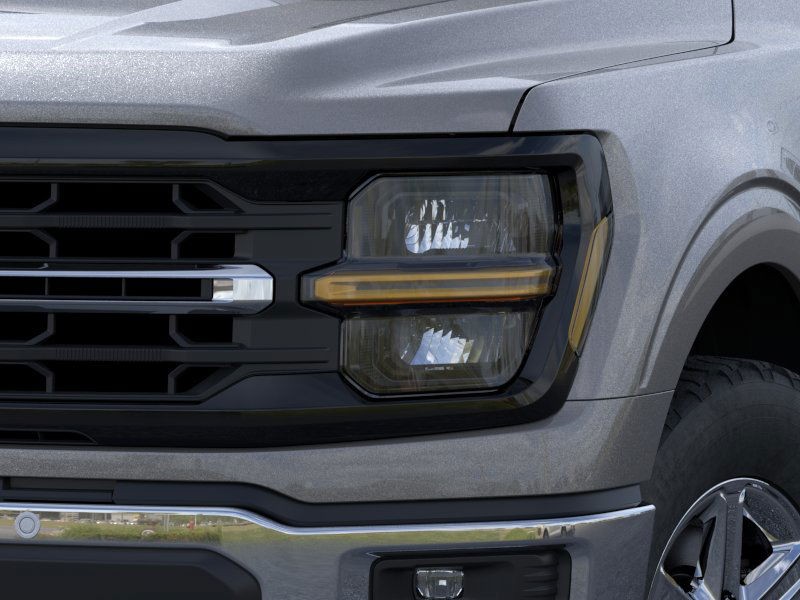 Ford F-150 Vehicle Image 20