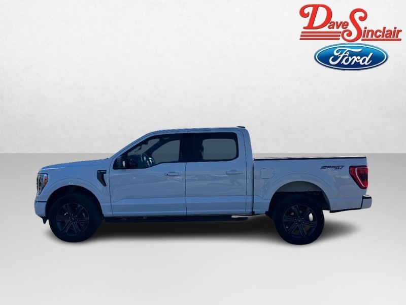 Ford F-150 Vehicle Full-screen Gallery Image 10