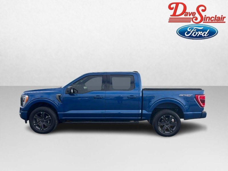 Ford F-150 Vehicle Full-screen Gallery Image 10
