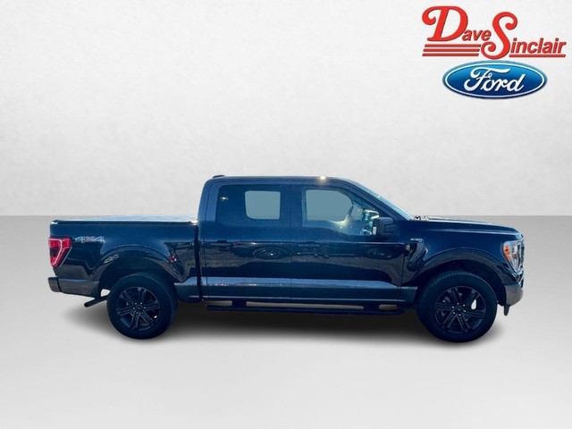Ford F-150 Vehicle Image 05