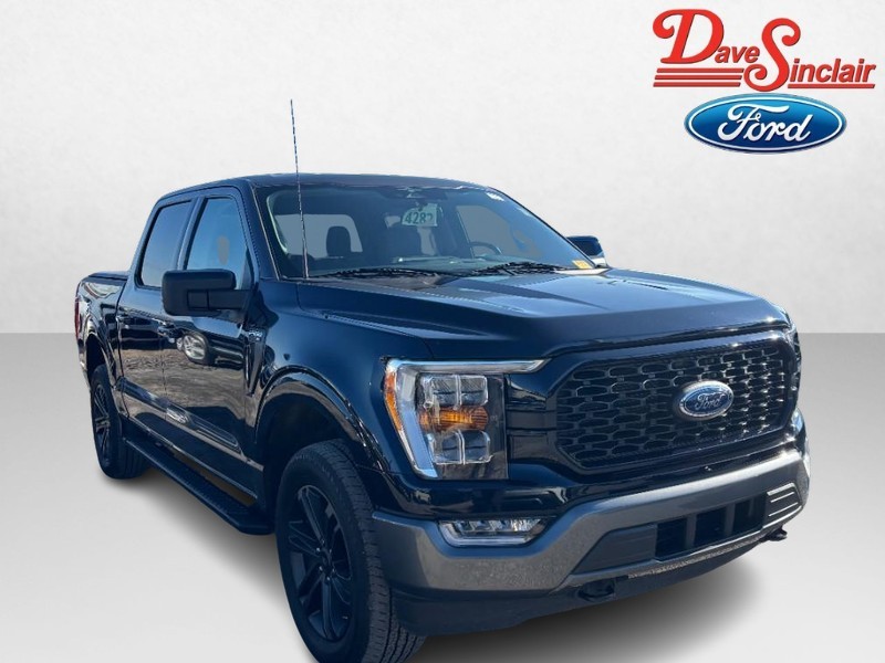 Ford F-150 Vehicle Image 04