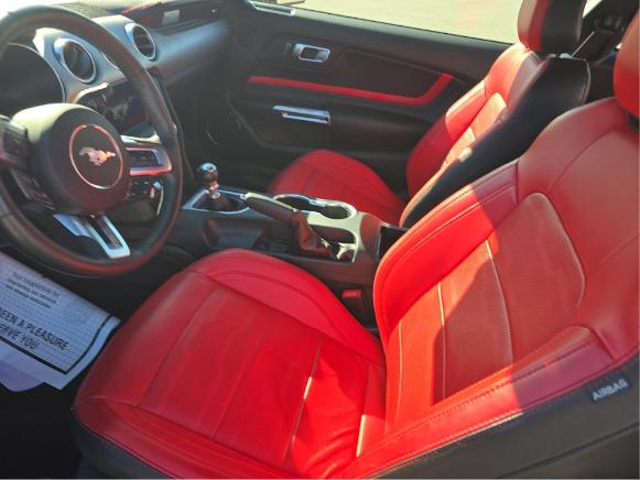 Ford Mustang Vehicle Full-screen Gallery Image 04