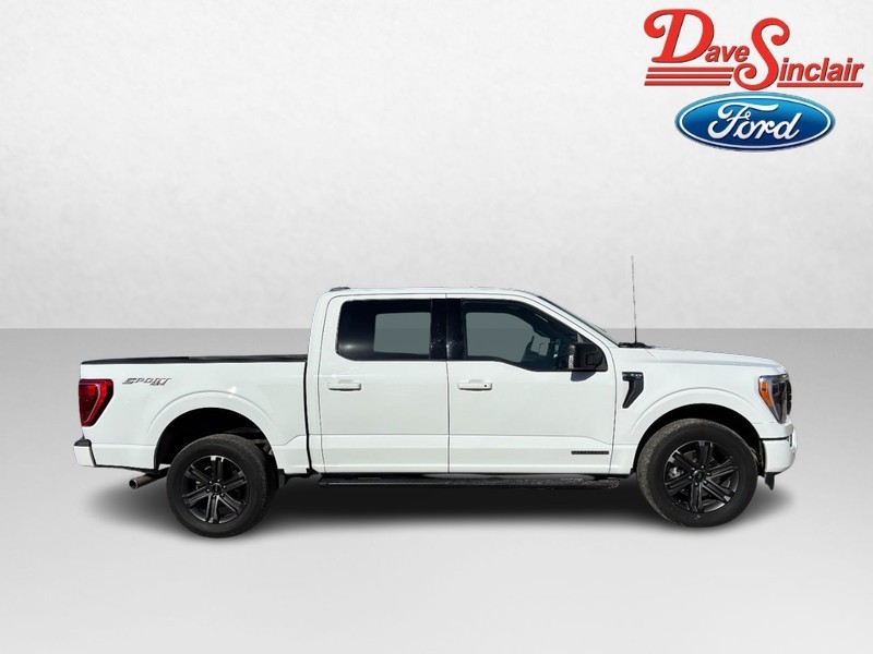 Ford F-150 Vehicle Full-screen Gallery Image 05