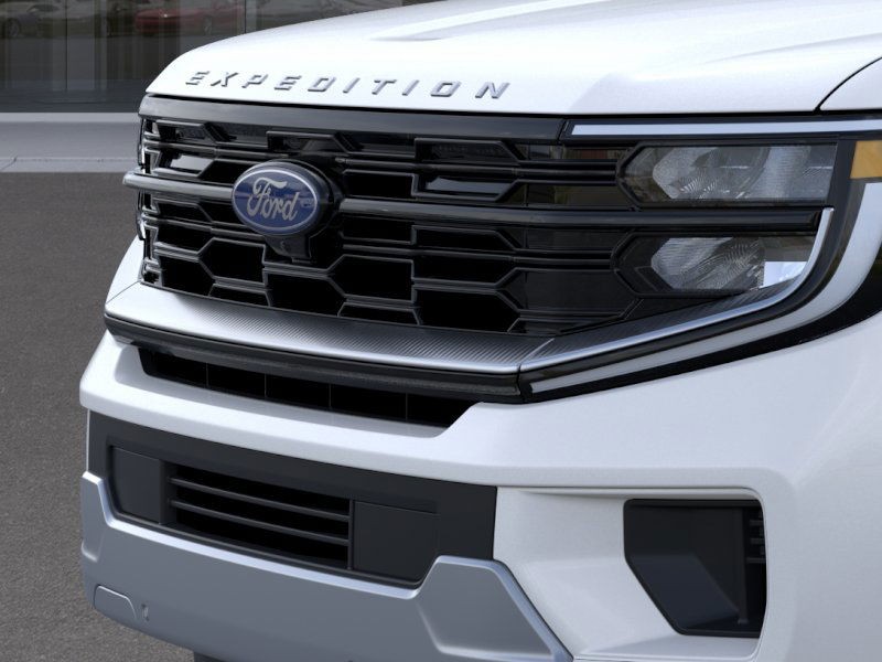 Ford Expedition Vehicle Image 19