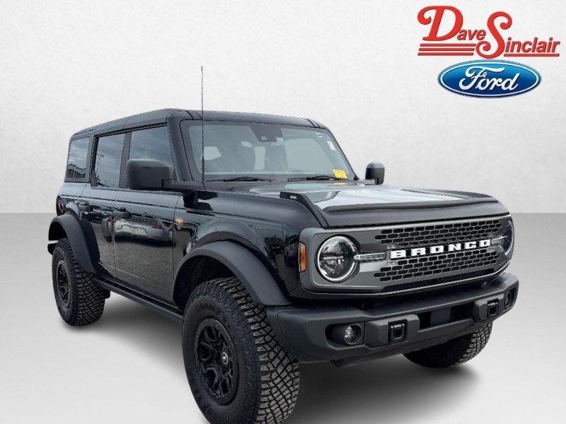 Ford Bronco Vehicle Image 04