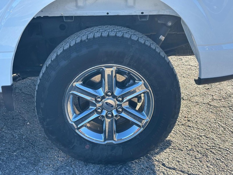 Ford F-150 Vehicle Full-screen Gallery Image 11