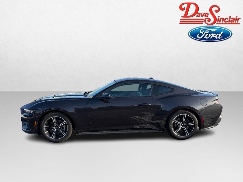 Ford Mustang Vehicle Full-screen Gallery Image 10