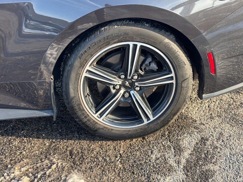 Ford Mustang Vehicle Full-screen Gallery Image 11