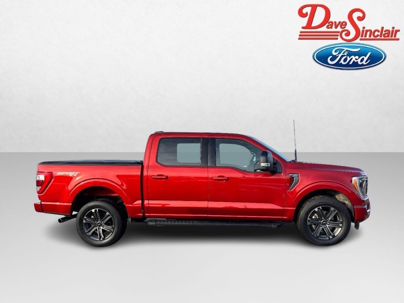 Ford F-150 Vehicle Full-screen Gallery Image 05