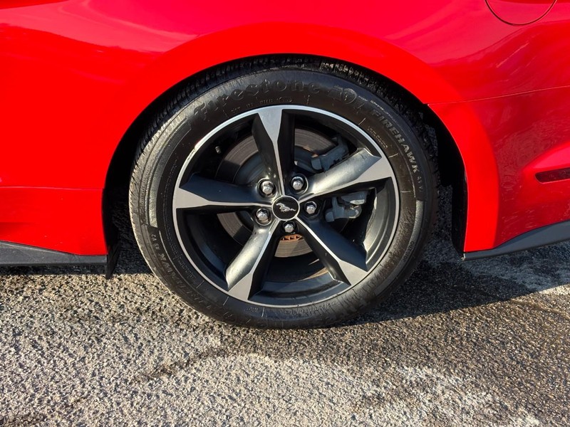 Ford Mustang Vehicle Full-screen Gallery Image 11