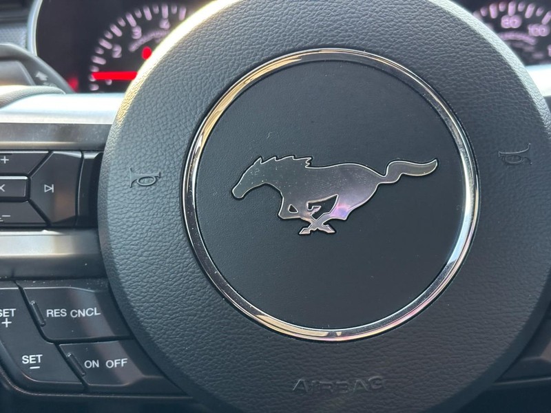 Ford Mustang Vehicle Full-screen Gallery Image 19